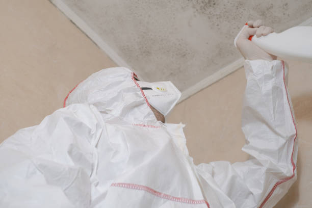 Best Residential Mold Removal  in Kure Beach, NC
